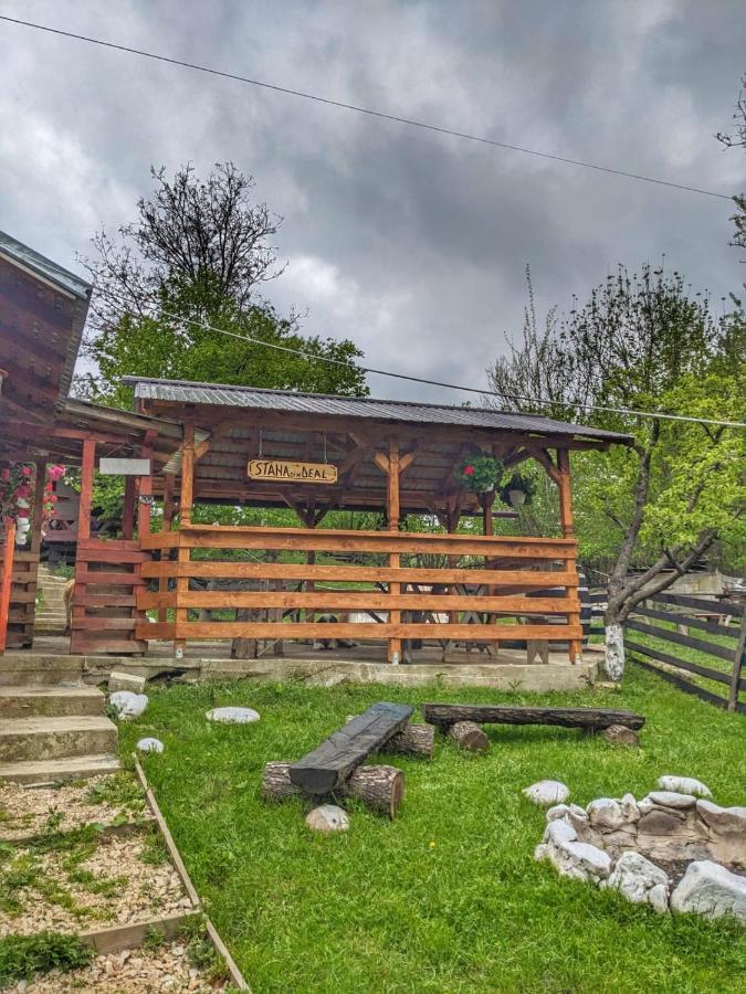Cabana „Stana Din Deal” Provita de Sus Exterior photo